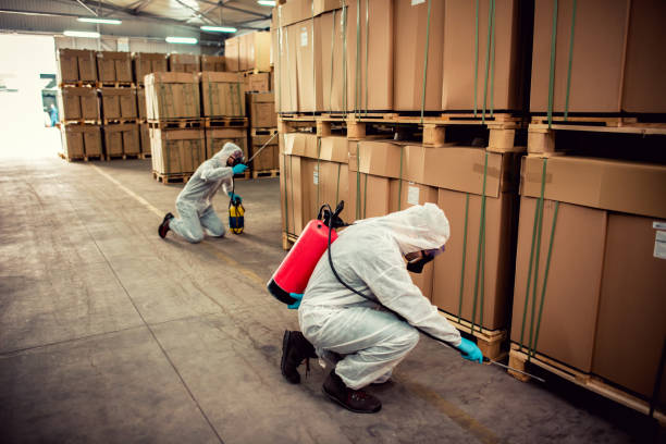 Best Pest Control for Restaurants  in Independence, LA