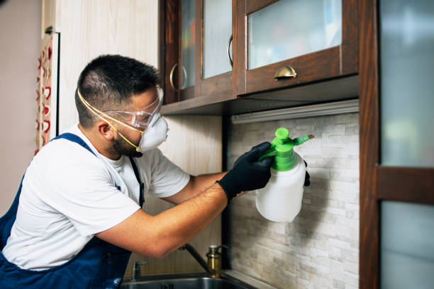 Best Commercial Pest Control Services  in Independence, LA