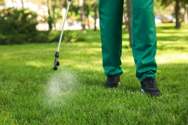Professional Pest Control in Independence, LA