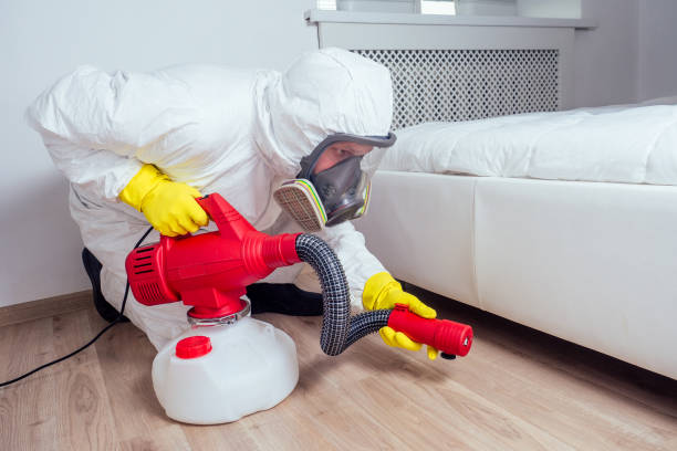 Wasp Removal Services in Independence, LA
