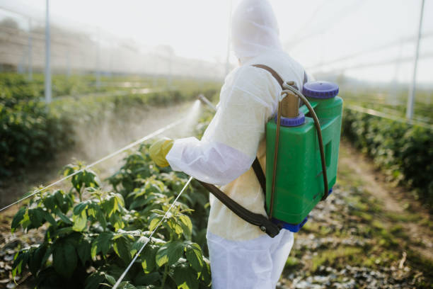 Best Pest Removal Services  in Independence, LA